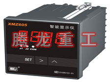 溫度表、數(shù)字顯示儀、濕度表